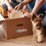 mudanzas con mascotas madrid